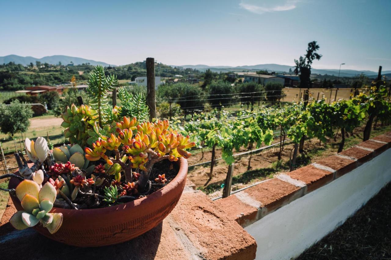 Quinta Sofia Valle De Guadalupe (Adults Only) Eksteriør billede