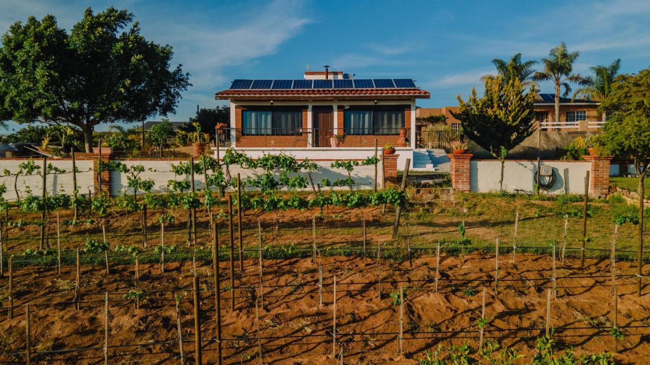 Quinta Sofia Valle De Guadalupe (Adults Only) Eksteriør billede