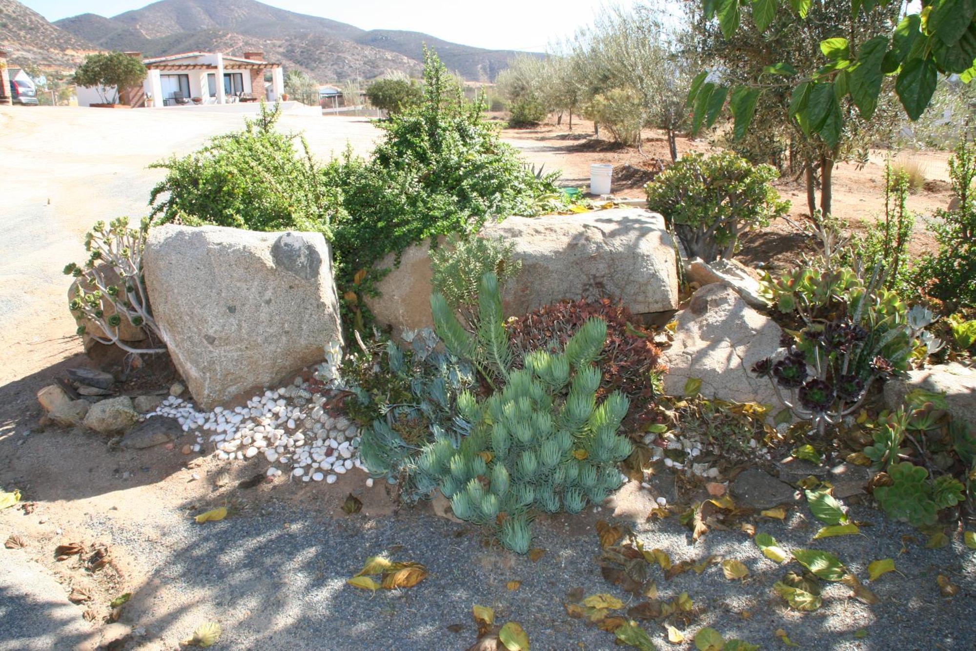 Quinta Sofia Valle De Guadalupe (Adults Only) Eksteriør billede