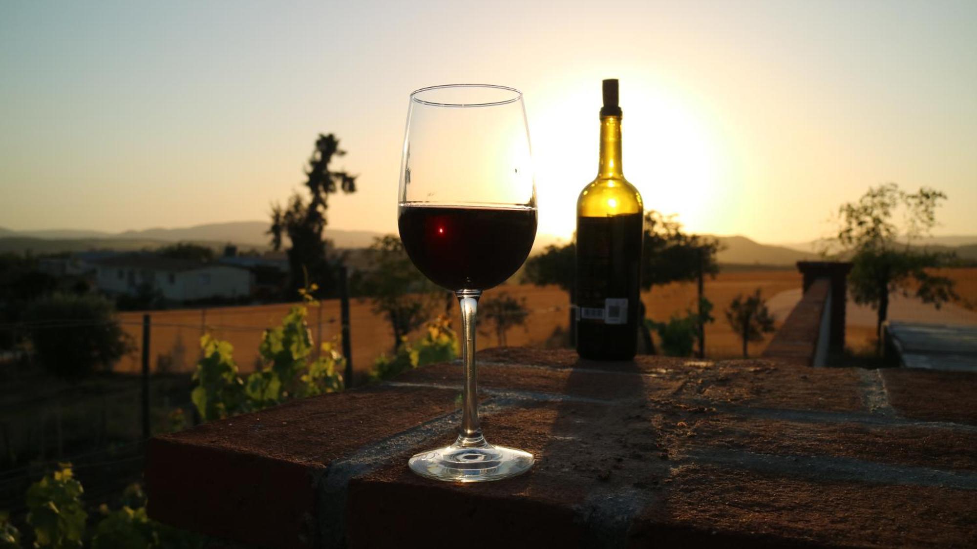 Quinta Sofia Valle De Guadalupe (Adults Only) Eksteriør billede