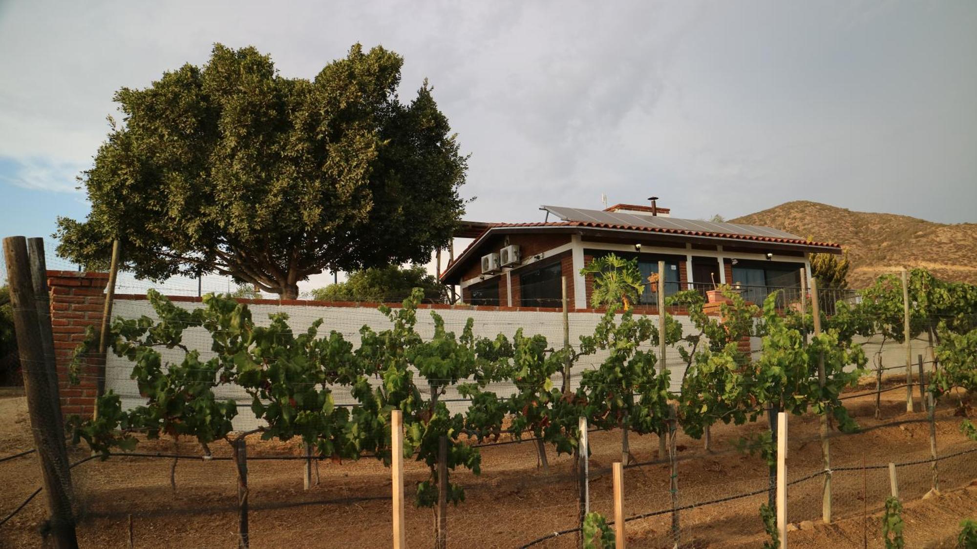 Quinta Sofia Valle De Guadalupe (Adults Only) Eksteriør billede