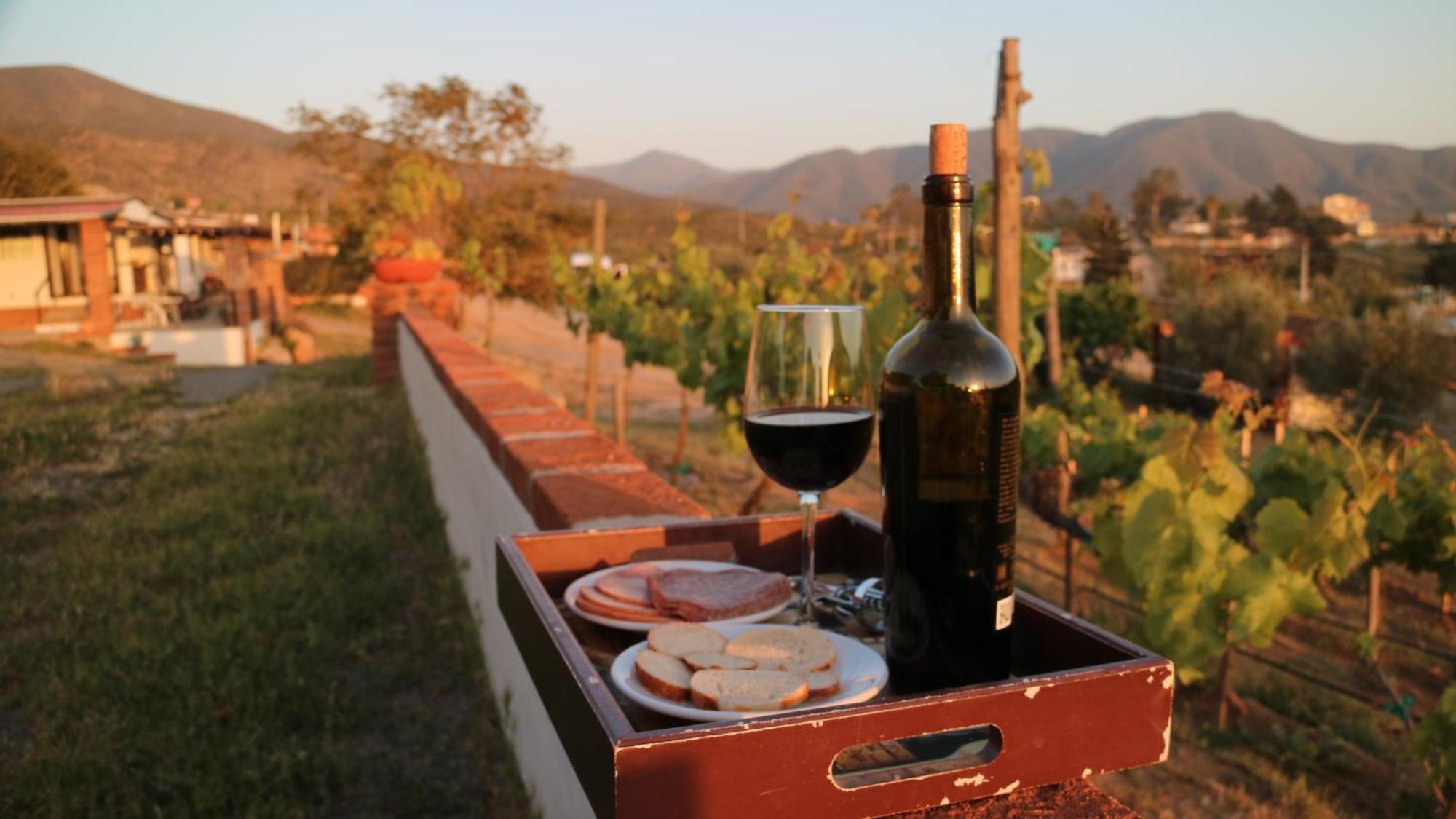 Quinta Sofia Valle De Guadalupe (Adults Only) Eksteriør billede